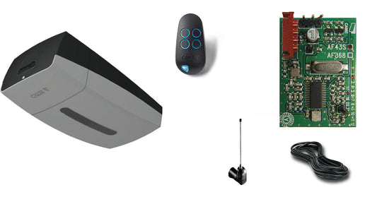 Kit automatizare usa garaj CAME VER13DMS