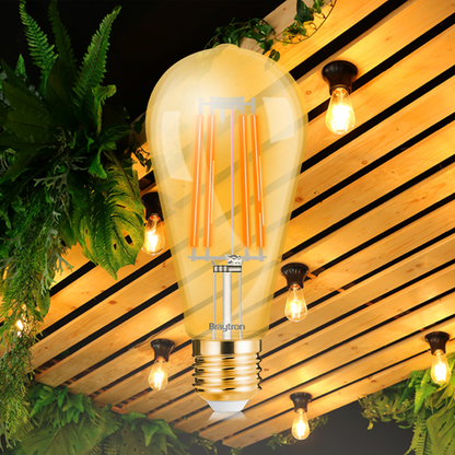 Bec decorativ, cu filament, led, 6W, dimabil, 510lm, st64, 2200k, lumina calda, E27, BR-BB46-60620, Braytron