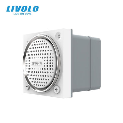 Modul difuzor Bluetooth Livolo 2M VL-FCF-2WP