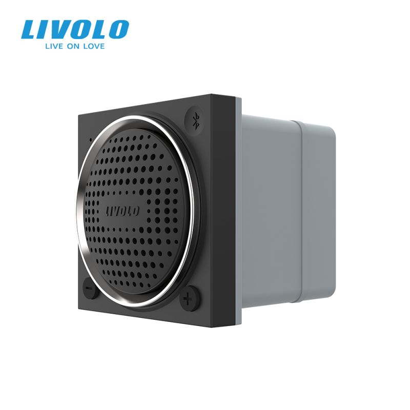 Modul difuzor Bluetooth Livolo 2M VL-FCF-2WP
