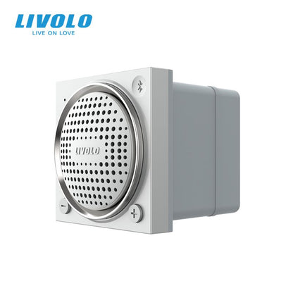 Modul difuzor Bluetooth Livolo 2M VL-FCF-2WP