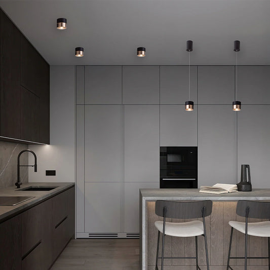 Corp de iluminat suspendat Juniper